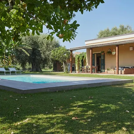With Pool Among Citrus Groves * נוטו