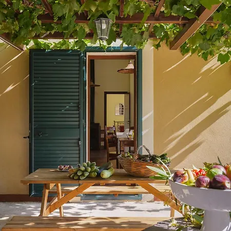 בית נופש With Pool Among Citrus Groves