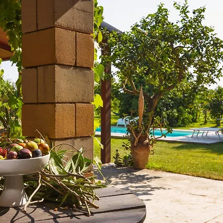 בית נופש With Pool Among Citrus Groves נוטו