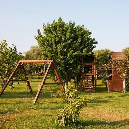 With Pool Among Citrus Groves * נוטו